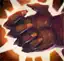 Yeti's Nail