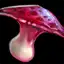 Bonbon Mushroom