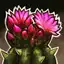 Contaminated Garden Flower