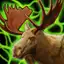 Deer Remnants