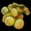 Fried Pumpkin