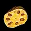 Lotus Root