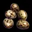 Pheasant Egg