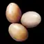 Chicken Egg