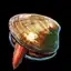 Clam
