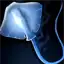 Manta Ray