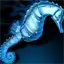 Seahorse