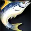 Brackish Barracuda