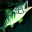 Stripped Bass
