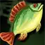 Green Halibut