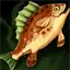 Vermillion Rockfish