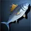 Salty Sardine