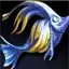 Palette surgeonfish