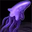 Purple Dosid Squid