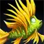 Yellow Tetra