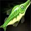 Salty Wahoo