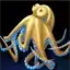 White Octopus