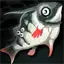 Piranha