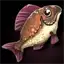 Flame Anthias