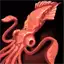 Caribbean Squid