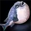 Pufferfish