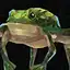 Mingming Prang Frog Hat