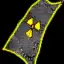 Toxic Cape