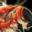 Marchant Tamed Crab