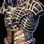 Optium Plate Breastplate
