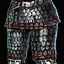 Aquila Leg Armor