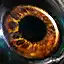 Verus Eye