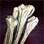 Cursed Leg Bone