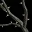 Branch of Urukaina