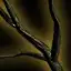 Contamined Stick