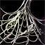 Electrified Spider Web