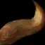Luxurious Wolf's Tail