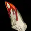Arek Tooth