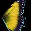 Yellow Butterfly Wings