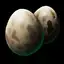 Harpy Egg