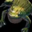Arrowhead Frog