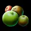 Tree Spirit Fruit