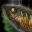 Redback Salmon