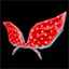 Red Rabbit Ribbon