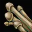 Longstalk Mushroom