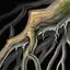 Ancestral Roots