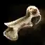 Damaged Bone
