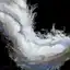 Frayed Spiritual Fur