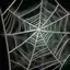 Strong Spider Web