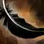 Vulture Feather