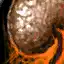 Mummy's Brain